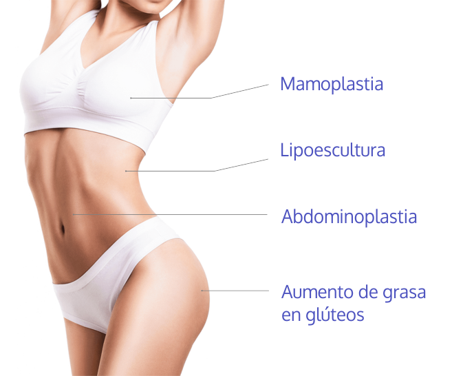 mamoplastia, abdominoplastia, lipoescultura, liposuccion, aumento de grasa en gluteos